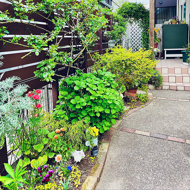 hinamamaさんの部屋