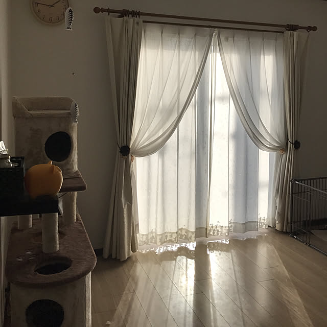 Nobukoさんの実例写真