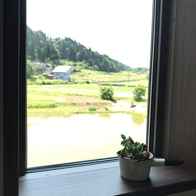 Miriさんの実例写真