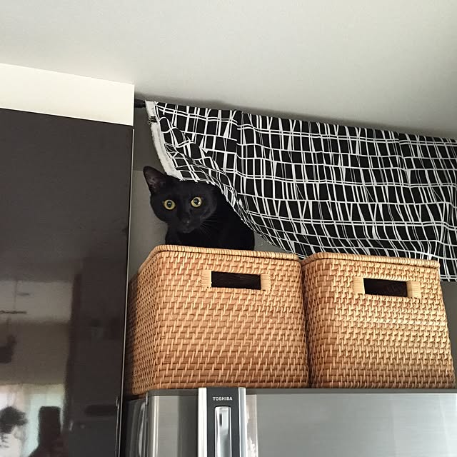 yuki0511さんの実例写真