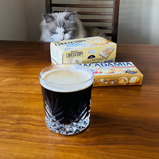 CatSlaveさんの部屋