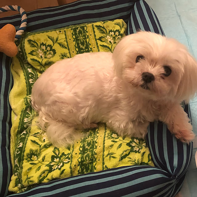kimiさんの実例写真