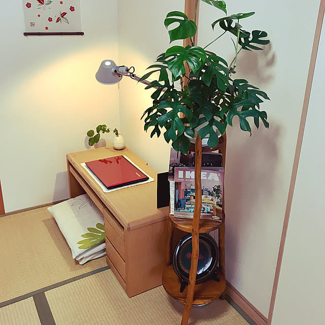 rkさんの実例写真