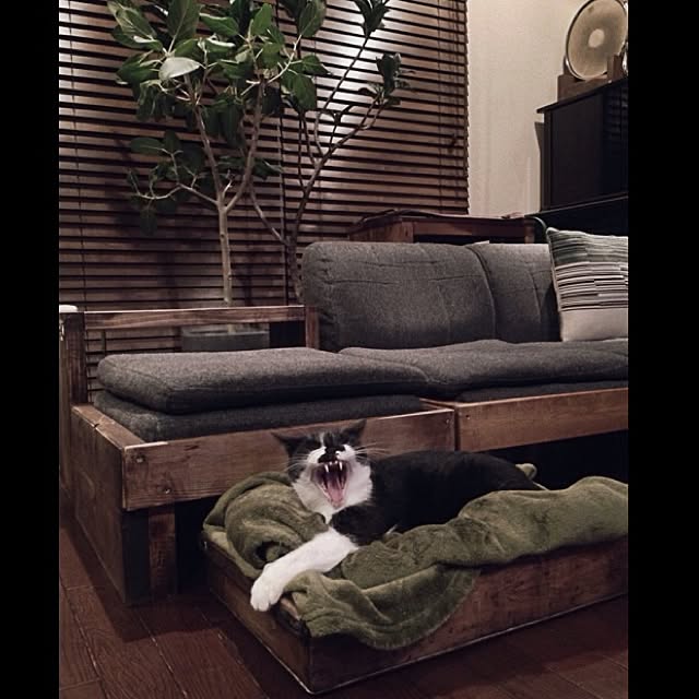 jnkaiさんの実例写真