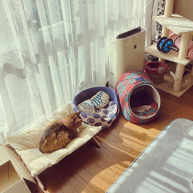 yukarinさんの実例写真
