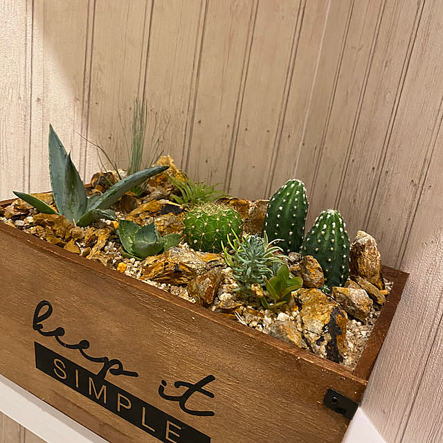 CHARさんの部屋