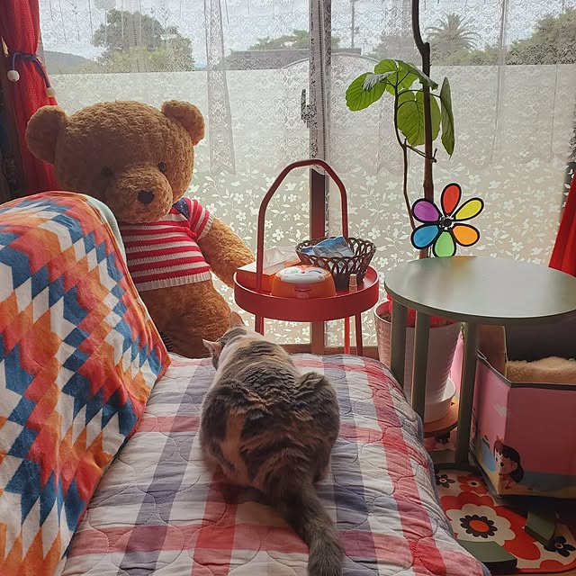 kumutanさんの実例写真