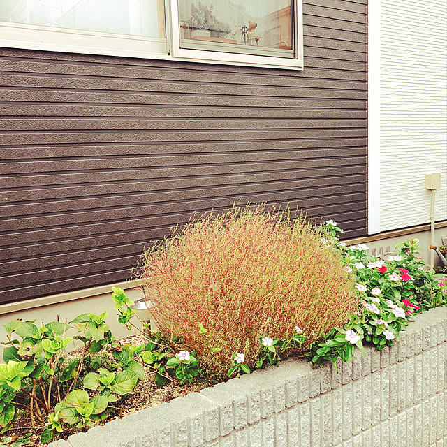 eriharuさんの実例写真