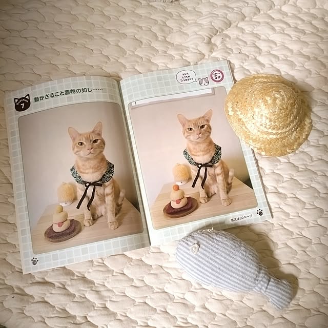 mayutan.さんの実例写真