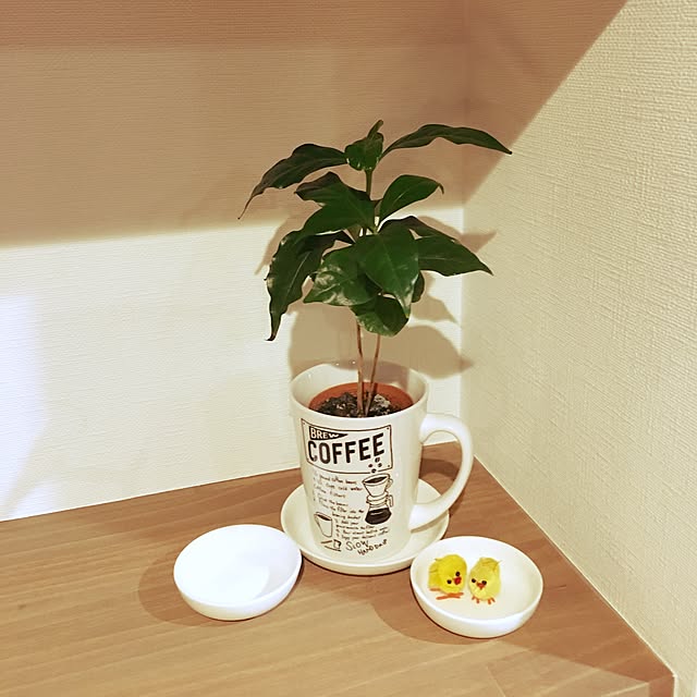 rikoさんの実例写真