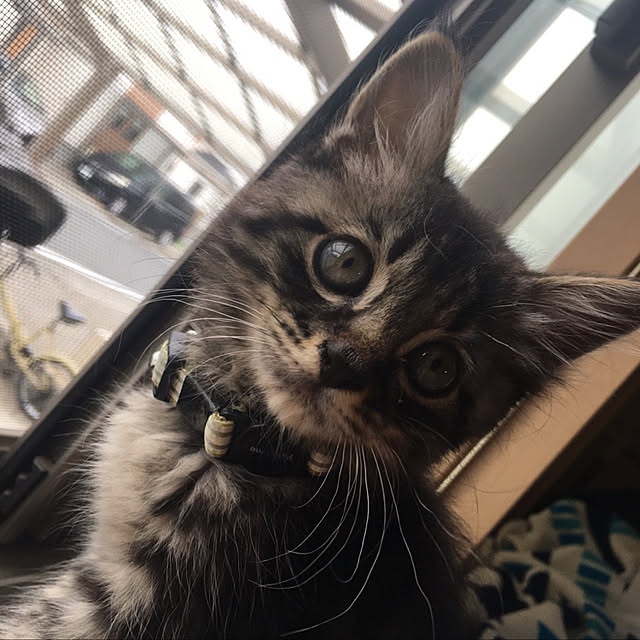 yukoさんの実例写真