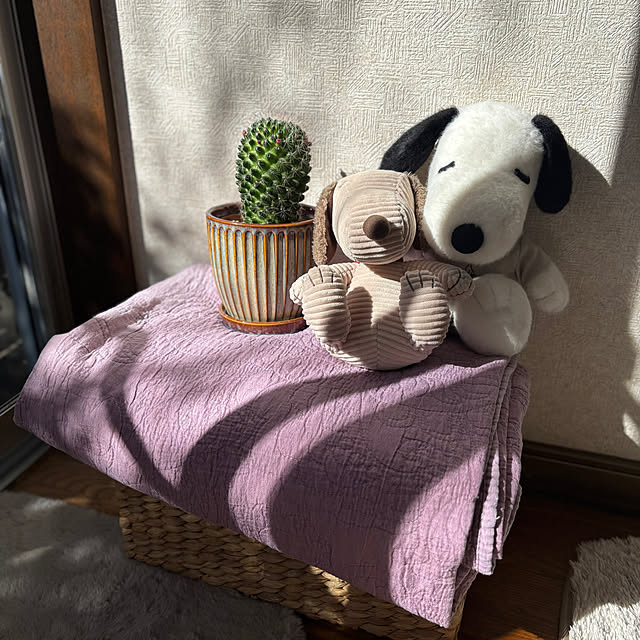 canetteさんの部屋