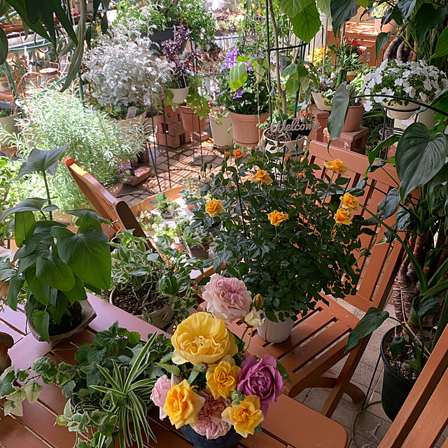 Aqettyさんの部屋