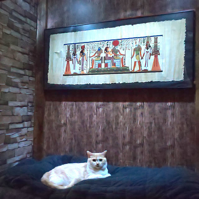 kobakissaさんの実例写真