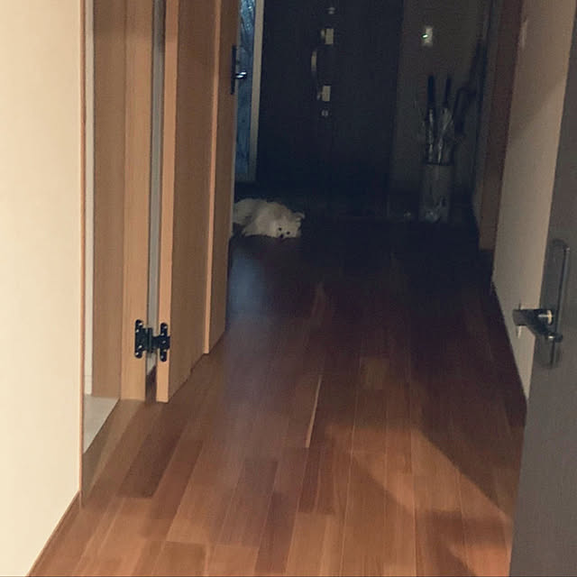 1546さんの実例写真