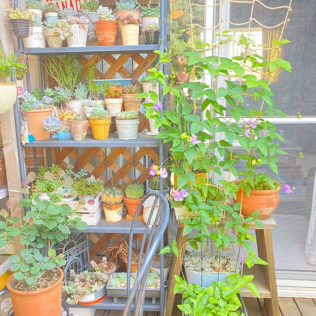 mintteaさんの実例写真