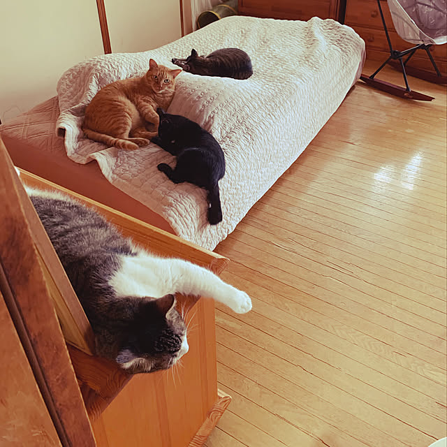rioさんの実例写真