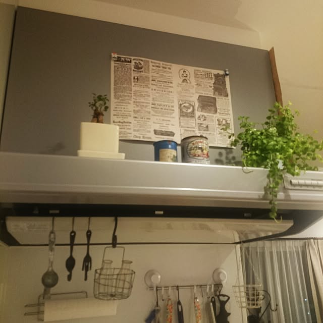Yuさんの実例写真