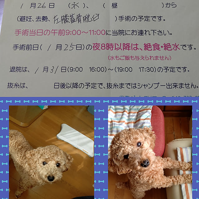 yumirinさんの実例写真
