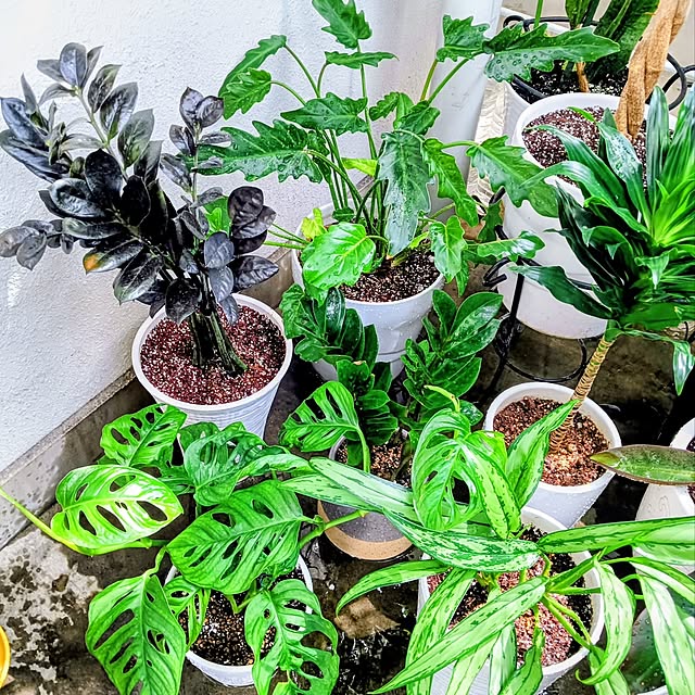 hanachanさんの実例写真