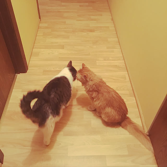 Keiさんの実例写真