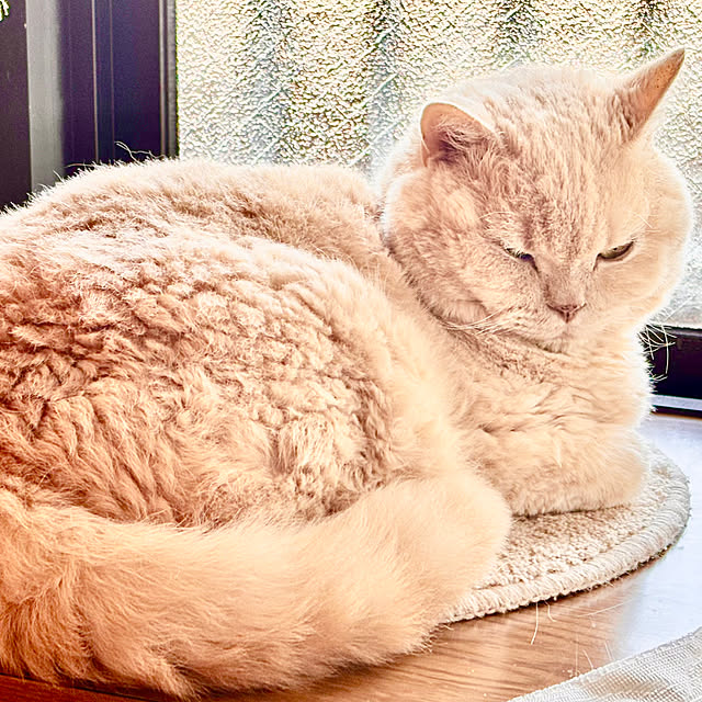 naokoさんの部屋