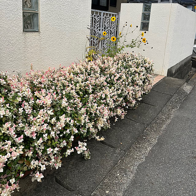 Fuku222さんの部屋