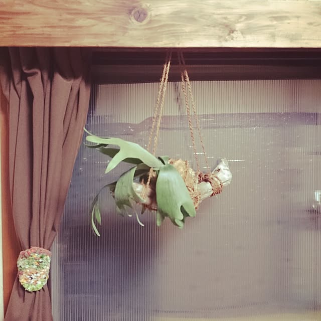 yahさんの実例写真