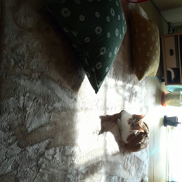 nitaさんの実例写真