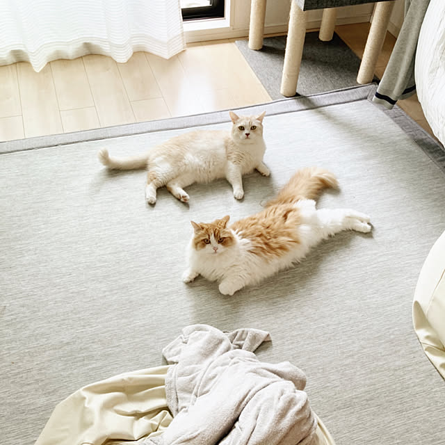 H.Tさんの実例写真