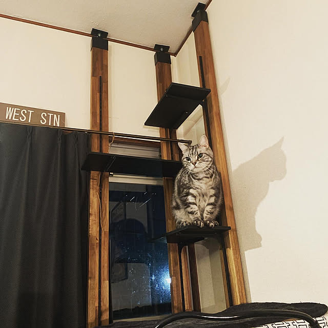 yukitaさんの実例写真
