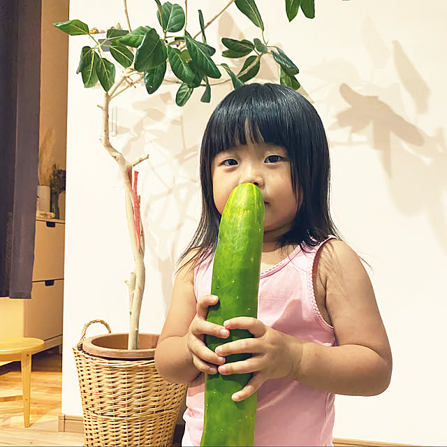 kotaroさんの実例写真