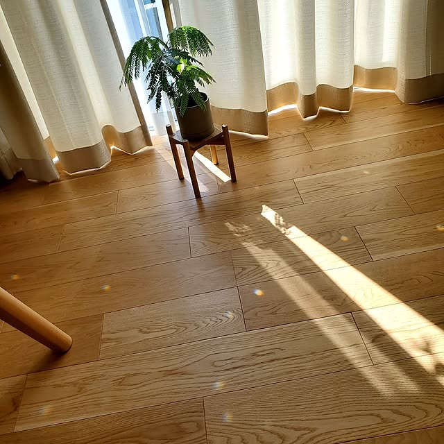 tokkiさんの部屋
