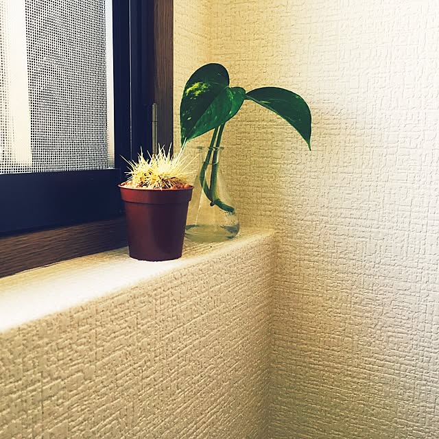 yokkoさんの実例写真