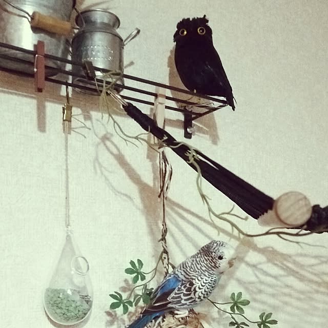 linenさんの実例写真