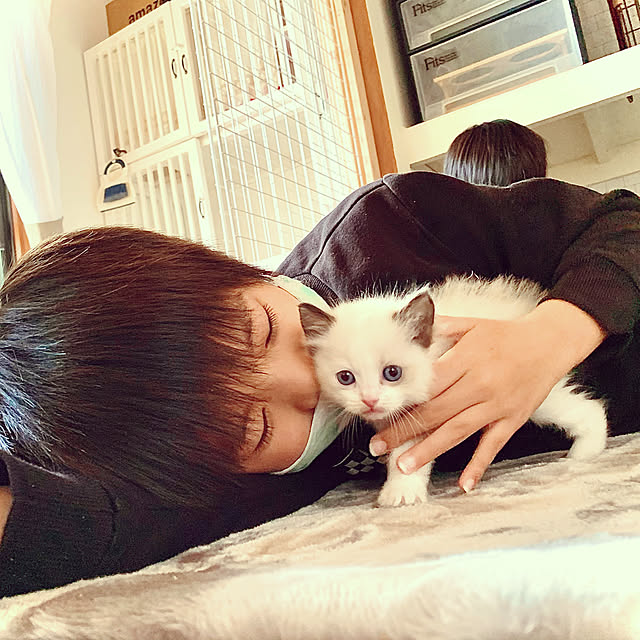 Micccaさんの実例写真