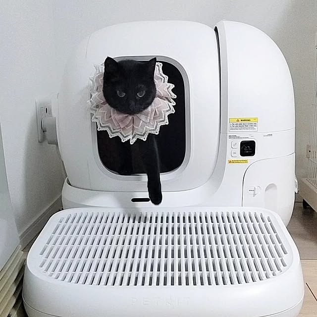 sakuraさんの部屋