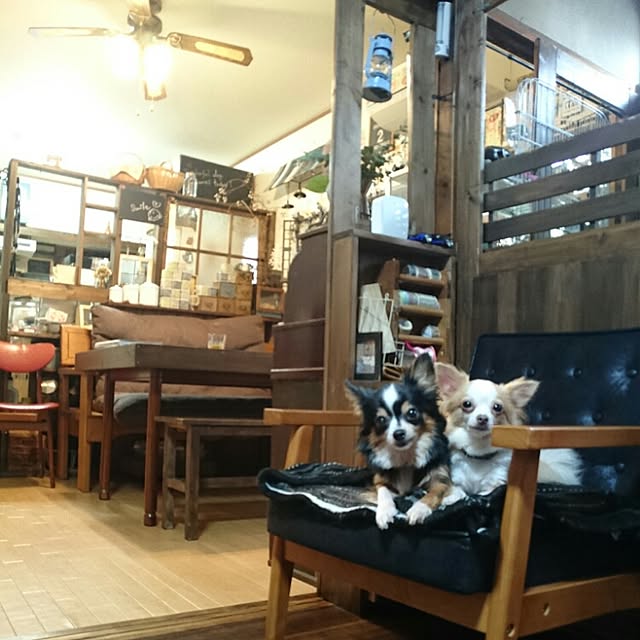 Nana40Nさんの実例写真