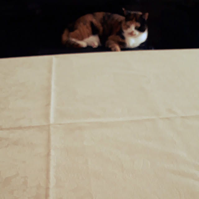 aiさんの実例写真