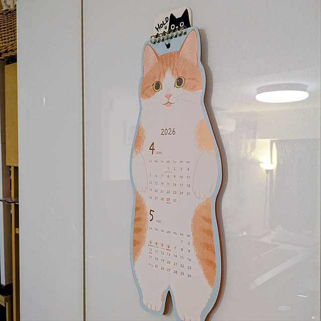 mi-saさんの実例写真