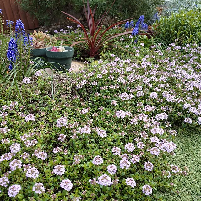 coconathuさんの部屋