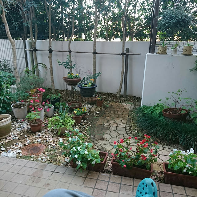 okyosan101さんの実例写真