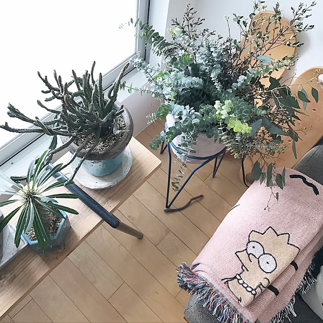 TokyoAvenueE502さんの実例写真
