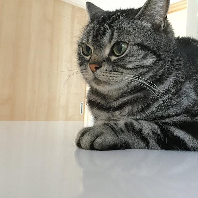 richanさんの実例写真