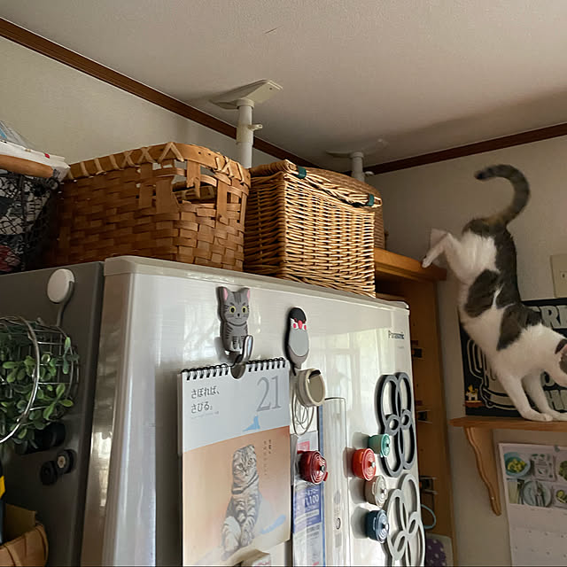 Lufuさんの実例写真