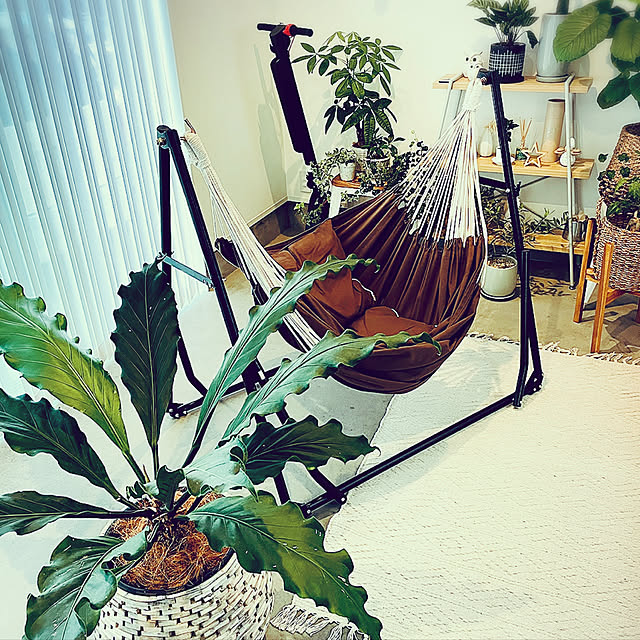 YUKOさんの実例写真