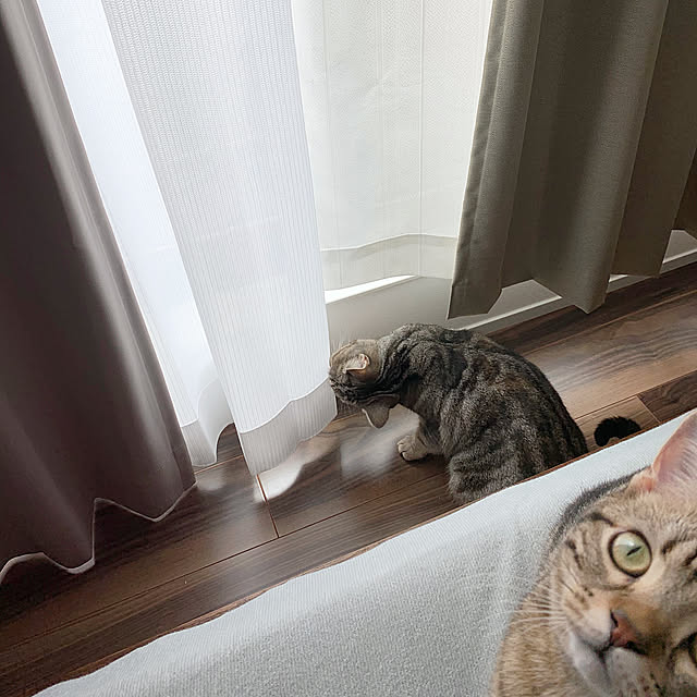 kaedeさんの実例写真