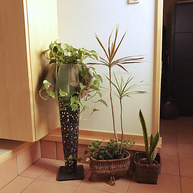 kmさんの実例写真