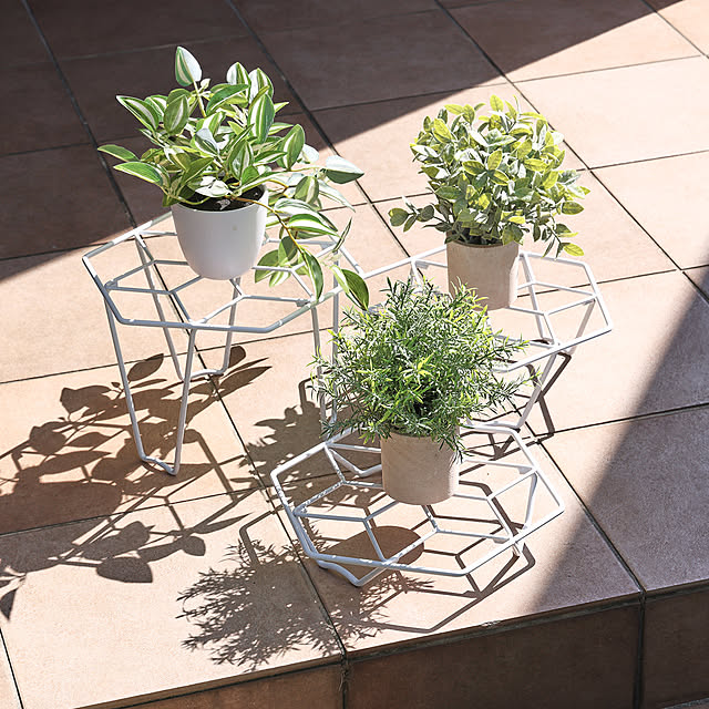 SANKAさんの実例写真