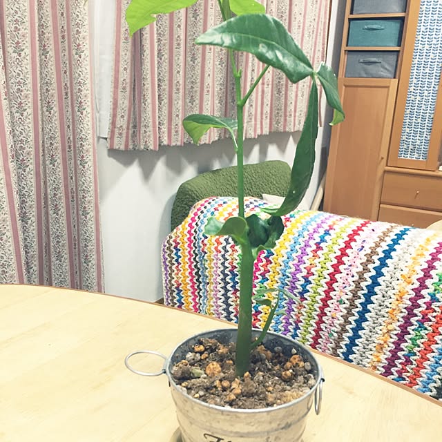 ki-mi0808さんの実例写真